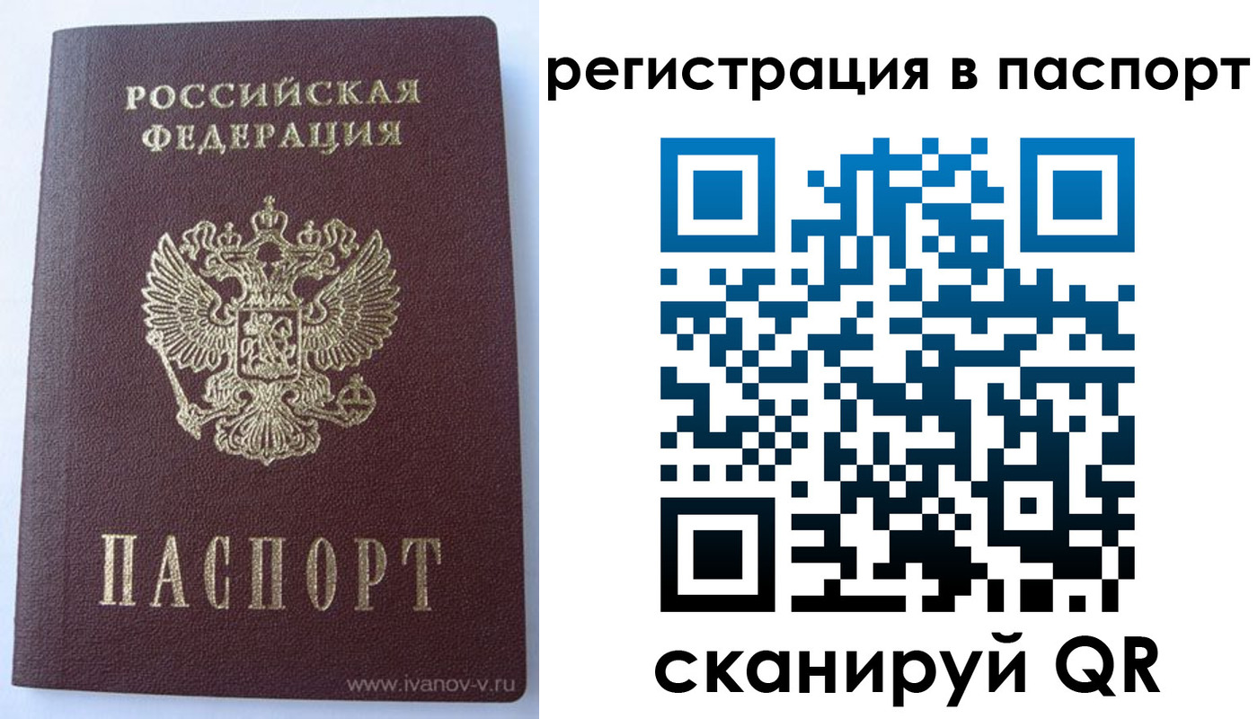прописка поиск в Бабаево